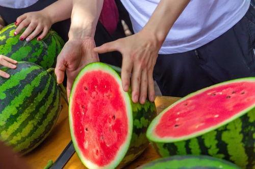 通辽学校吃瓜,揭秘校园里的那些事儿 第1张 通辽学校吃瓜,揭秘校园里的那些事儿 第1张